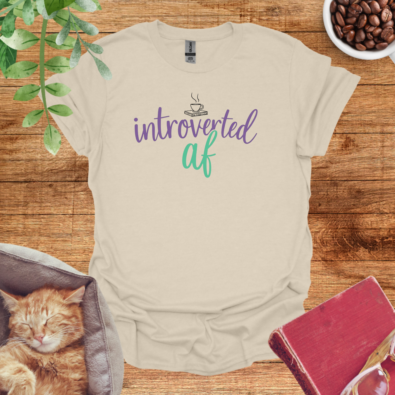 Cozy Introvert