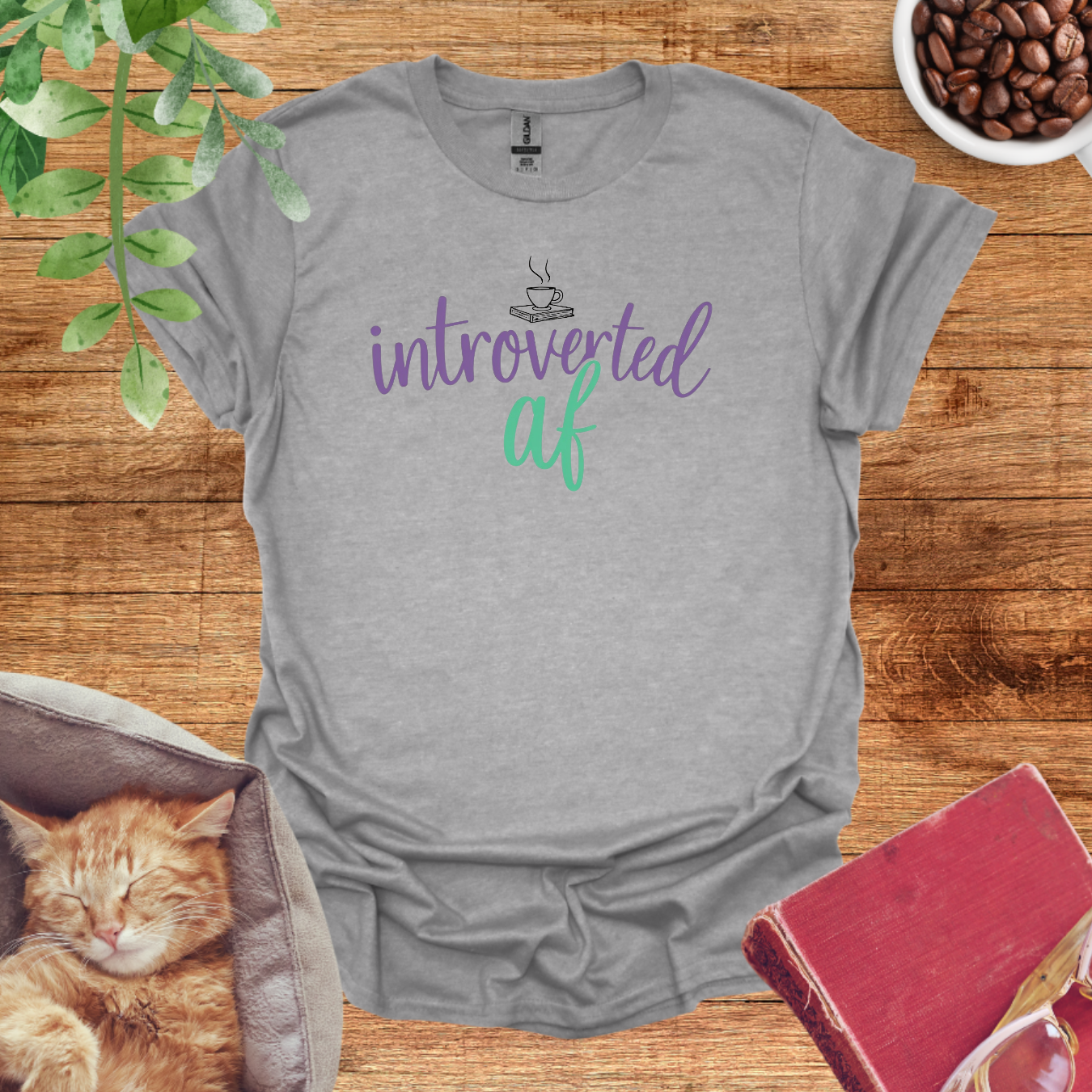 Cozy Introvert