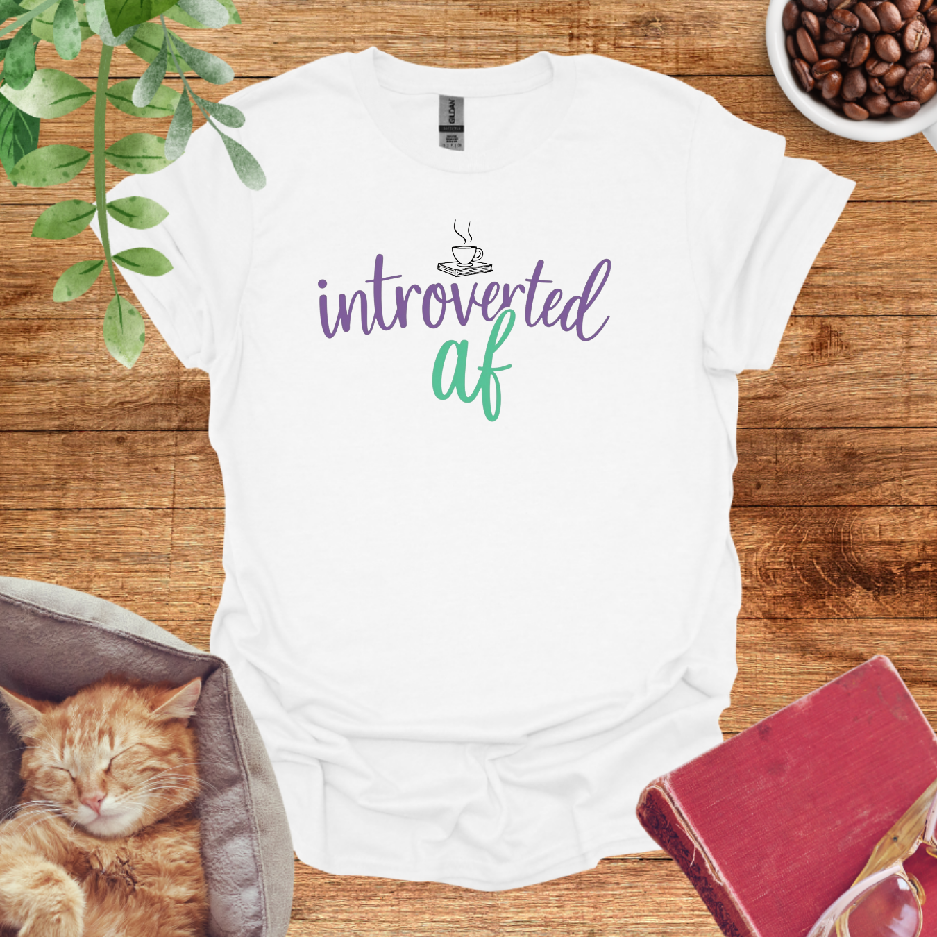 Cozy Introvert
