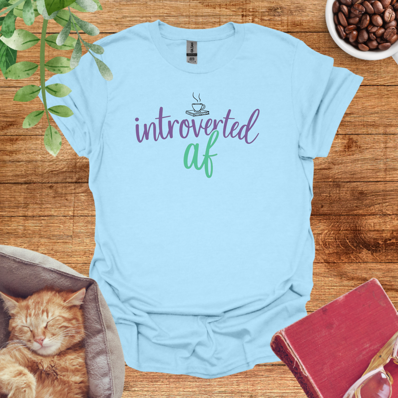 Cozy Introvert